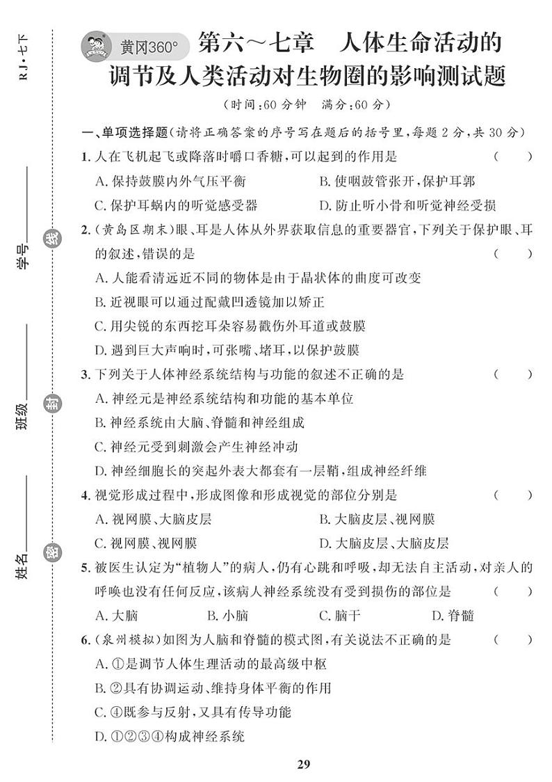 （2023春）人教版生物初中七年级下册-黄冈360°定制课时_第六、七章检测题第1页