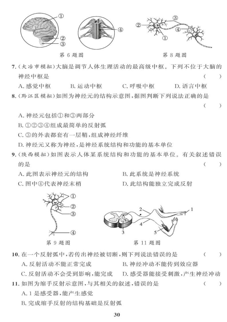 （2023春）人教版生物初中七年级下册-黄冈360°定制课时_第六、七章检测题02