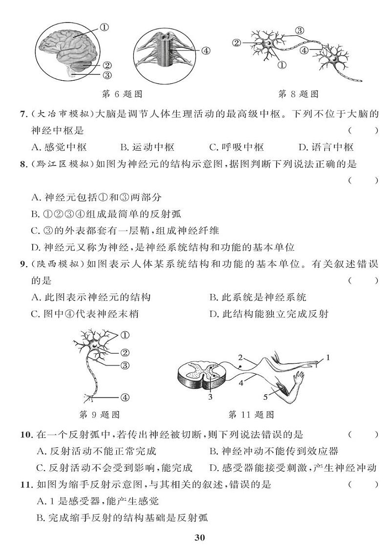 （2023春）人教版生物初中七年级下册-黄冈360°定制课时_第六、七章检测题第2页