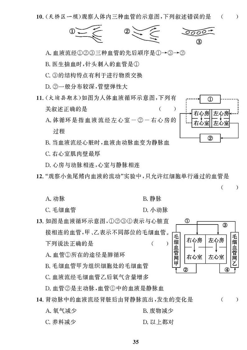 （2023春）人教版生物初中七年级下册-黄冈360°定制课时_期末检测题（一）03