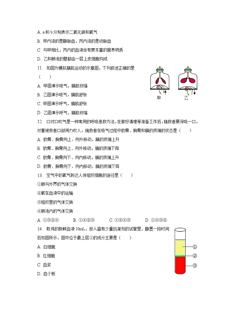 2022-2023学年山东省济南二十七中教育集团、济南大学基础教育集团七年级（下）期中生物试卷（含解析）第3页