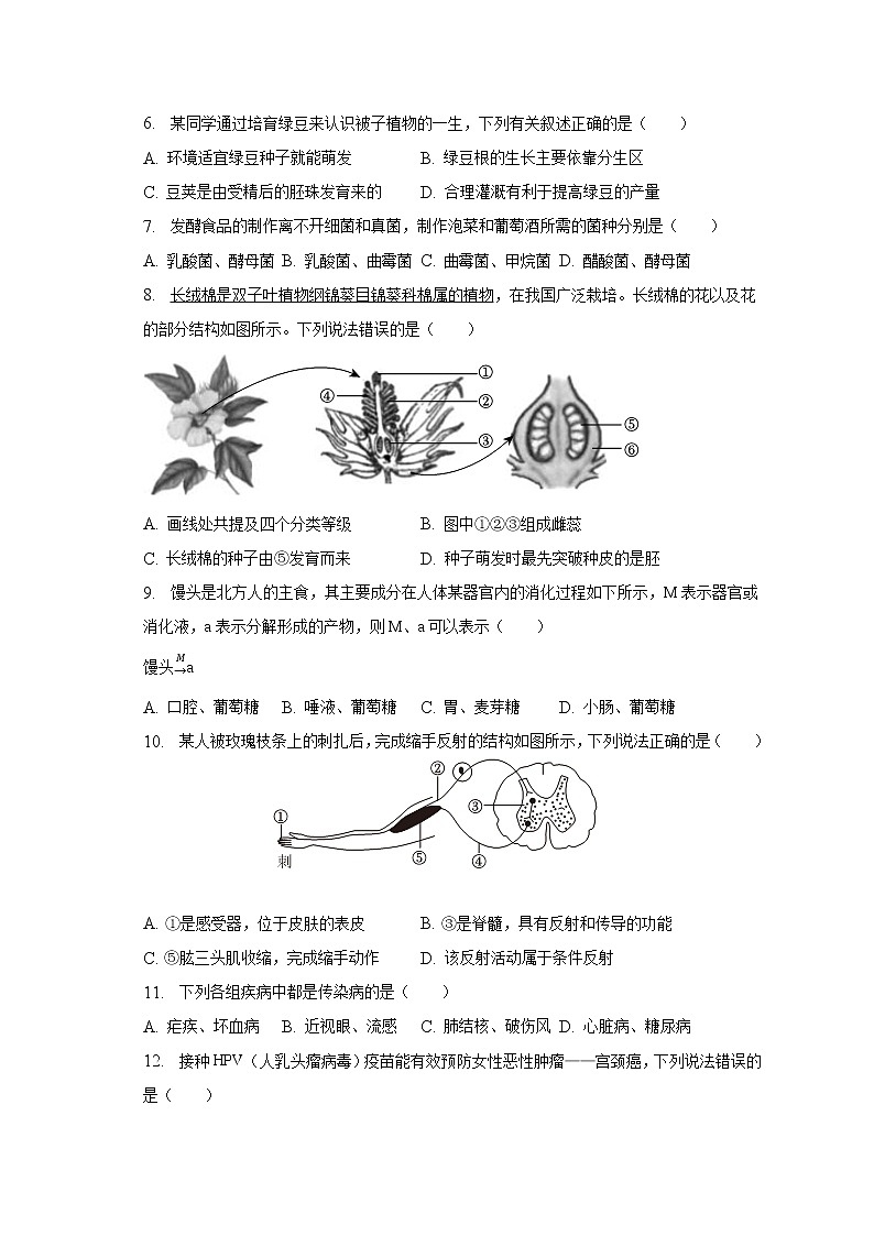 2023年山东省淄博市张店区中考生物一模试卷（含解析）02