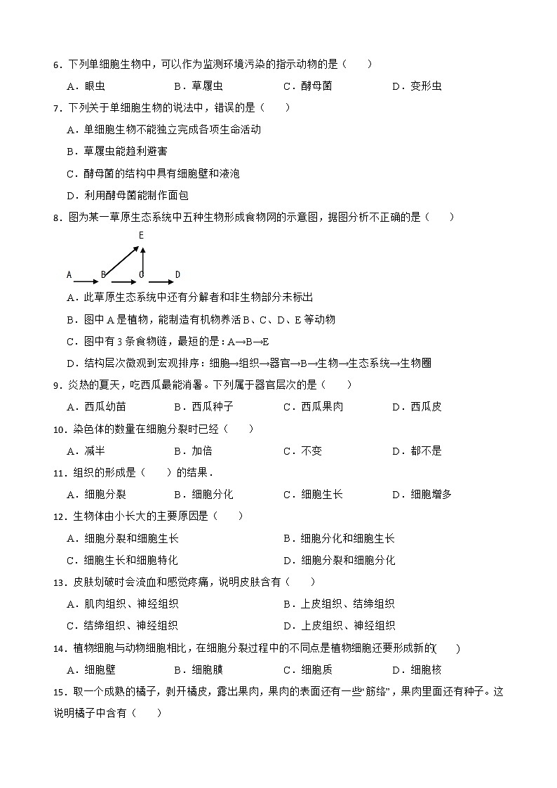 (人教版)2023届中考生物一轮复习专用训练卷—专题4 细胞怎样构成生物体（ 含答案）第2页