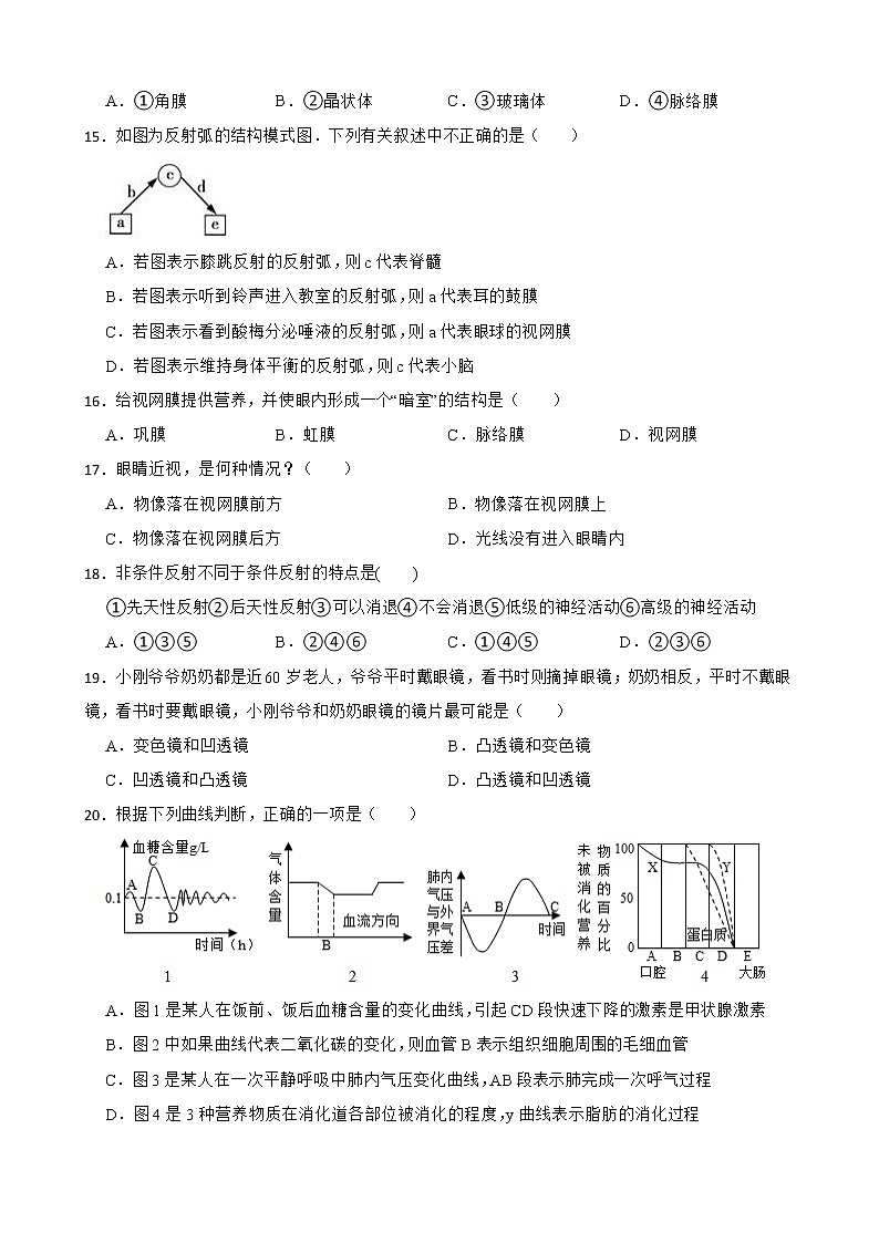 (人教版)2023届中考生物一轮复习专用训练卷—专题15 人体生命活动的调节（ 含答案）03