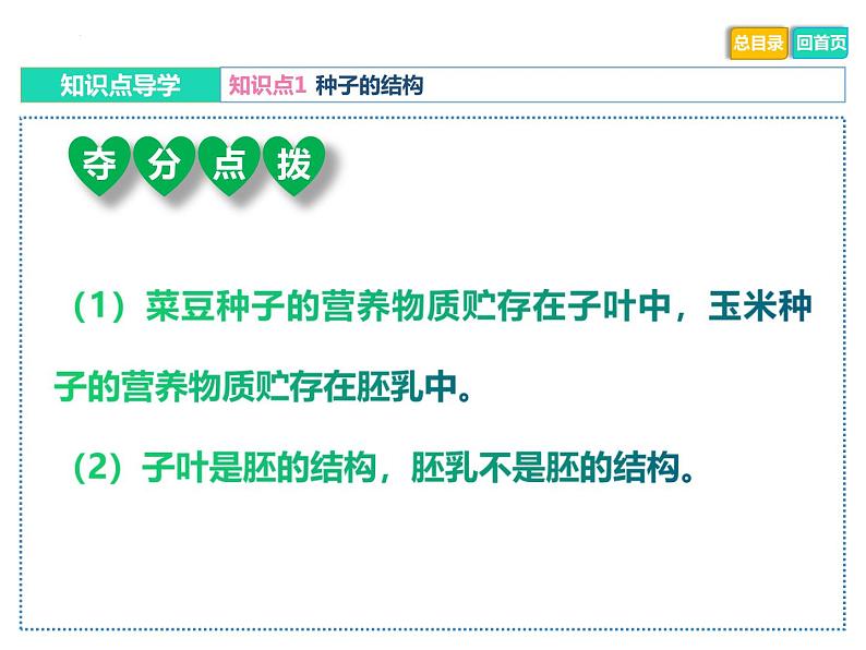 中考生物二轮复习重难点突破精讲课件专题03 绿色开花植物的一生 (含答案)06