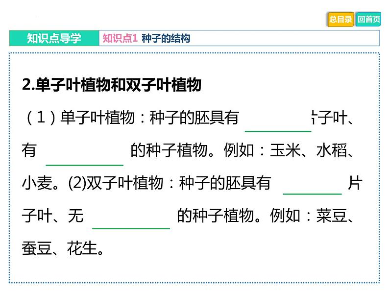 中考生物二轮复习重难点突破精讲课件专题03 绿色开花植物的一生 (含答案)07