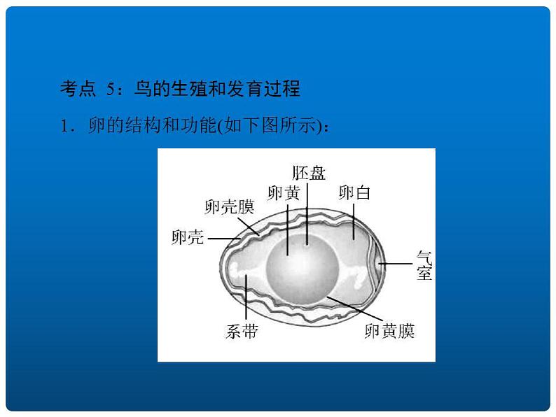 中考生物二轮复习重难点突破精讲课件专题05 生物的生殖和发育 (含答案)第8页