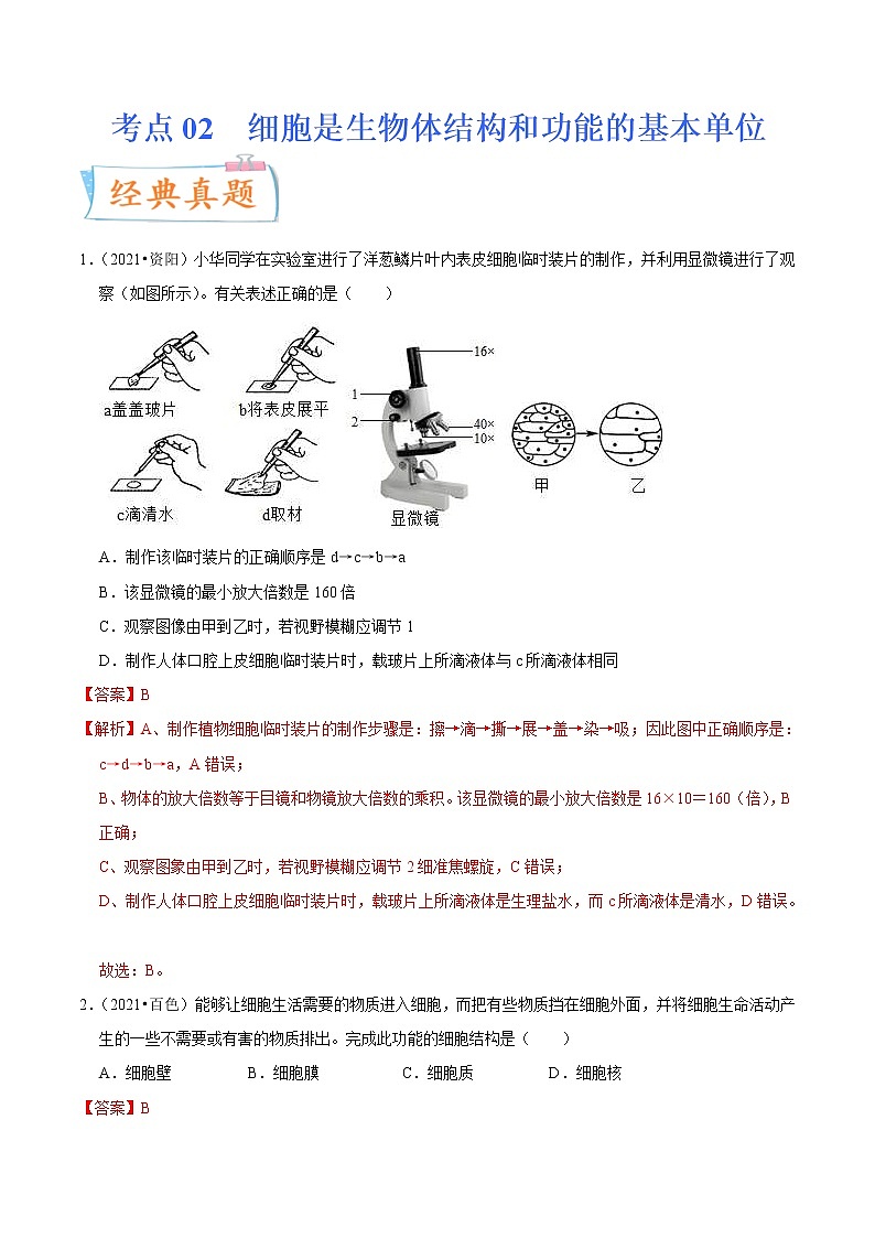 中考生物一轮复习考点练习考点02 细胞是生物体结构和功能的基本单位 (含答案)01