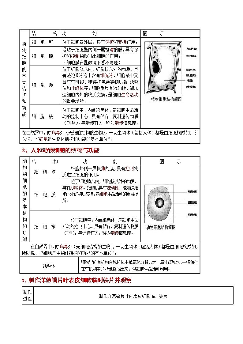 中考生物一轮复习考点练习考点02 细胞是生物体结构和功能的基本单位 (含答案)03