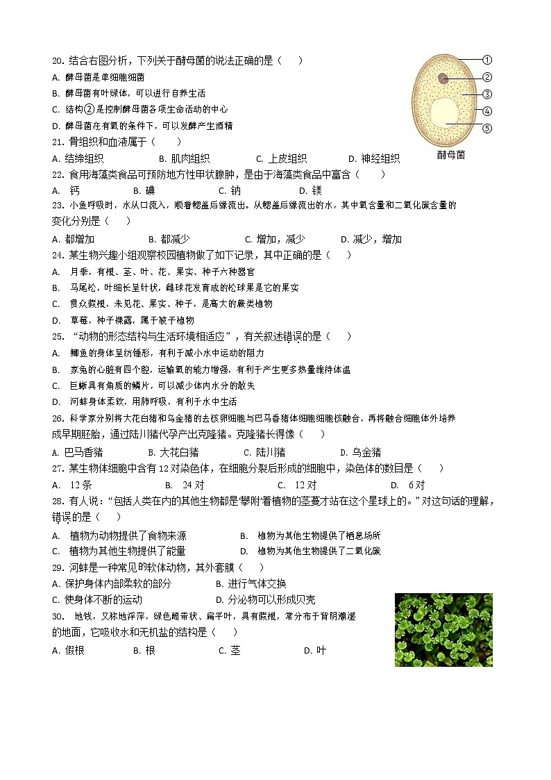 江苏省泰州市海陵区2022-2023学年七年级下学期期中生物试卷第3页