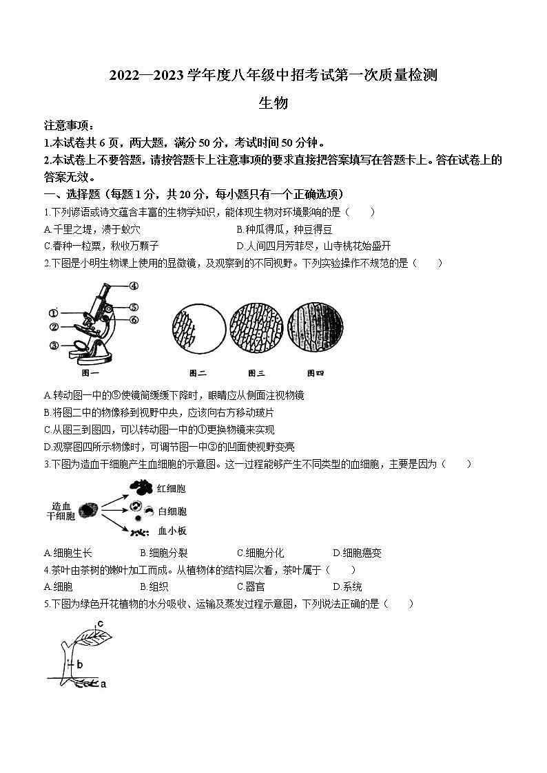 2023年河南省周口市川汇区中考一模生物试题（含答案）第1页