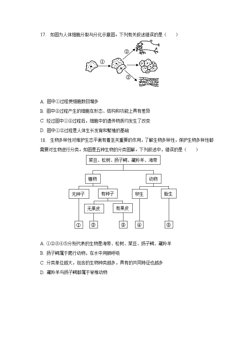 2022-2023学年江西省吉安市永新县七年级（上）期末生物试卷（含解析）03