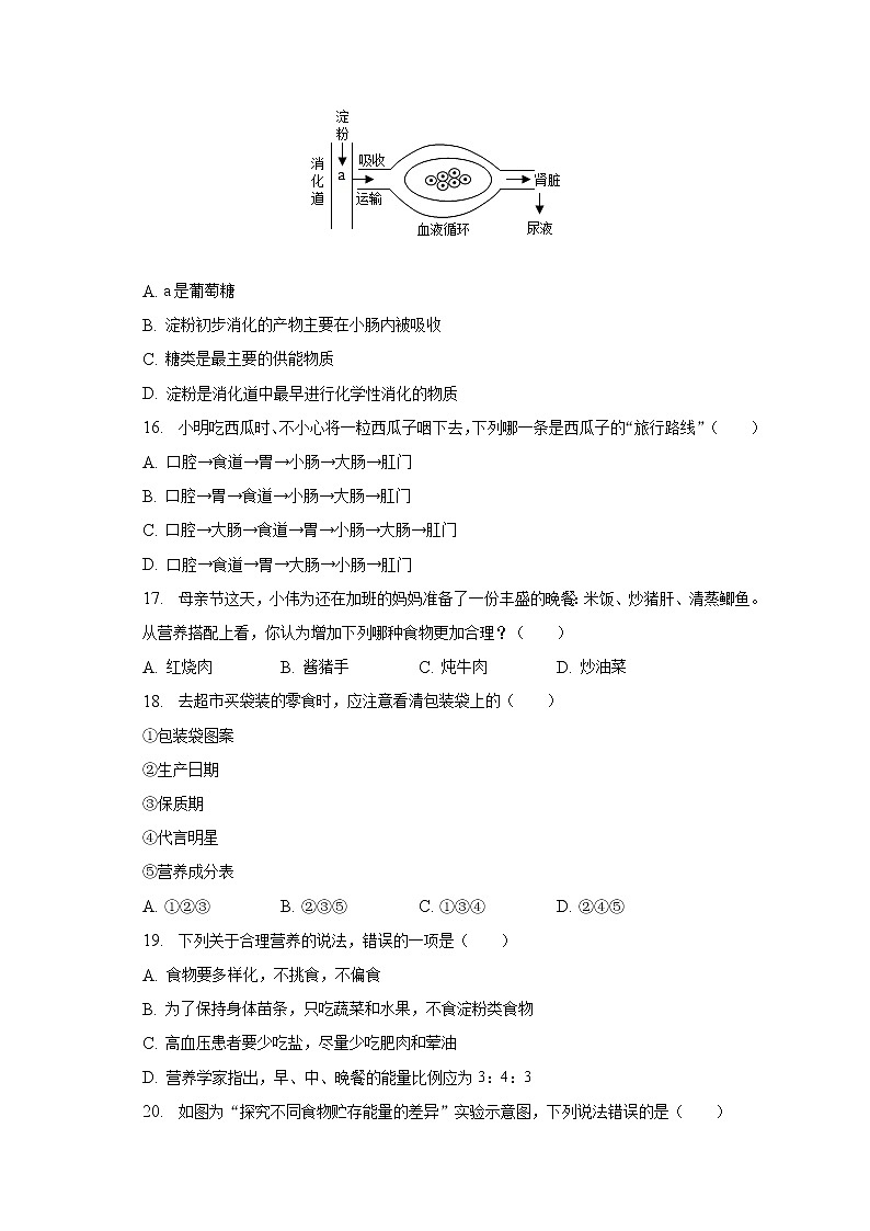 2022-2023学年吉林省白城市通榆县育才学校七年级（下）第五次段考生物试卷（含解析）第3页