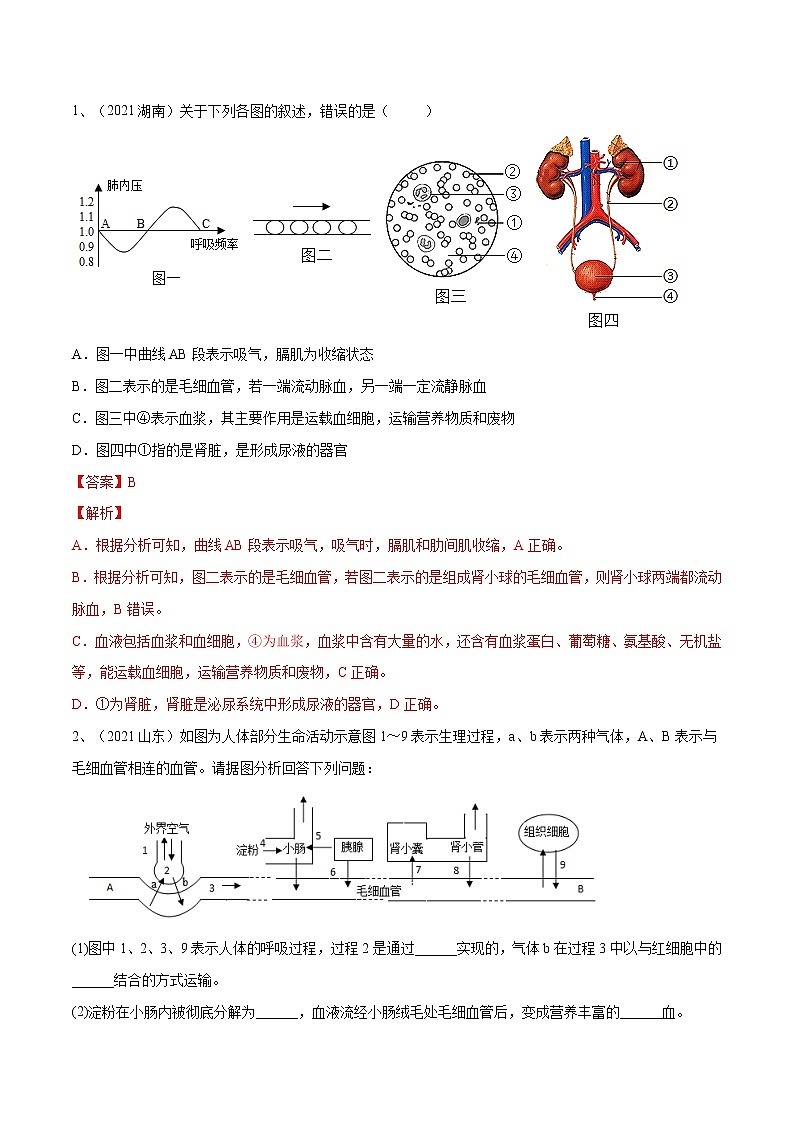 中考生物二轮复习专题05 生物圈中的人（教师版）02