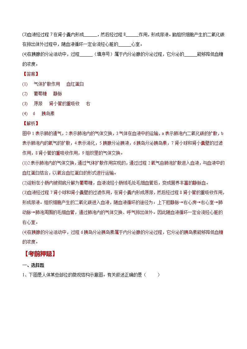 中考生物二轮复习专题05 生物圈中的人（教师版）03