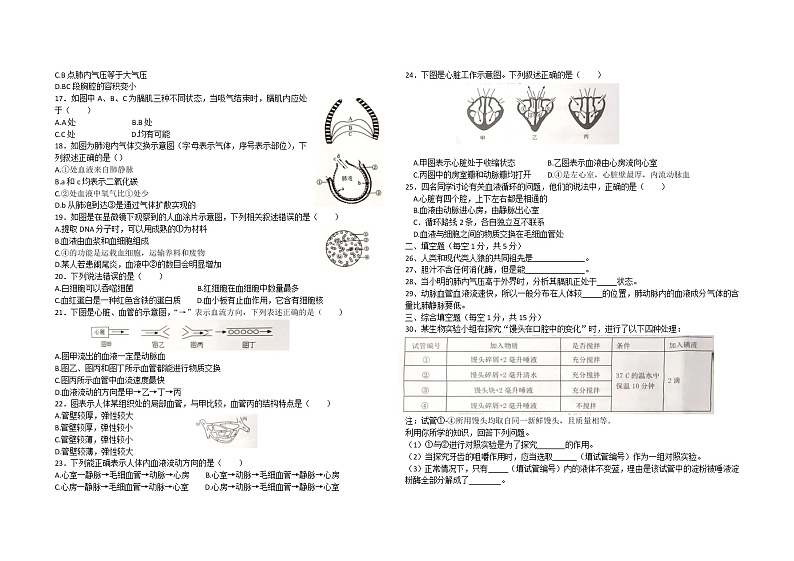 湖北省黄石市阳新县北部联盟教联体2022-2023学年七年级下学期期中素质检测生物试卷（含答案）第2页