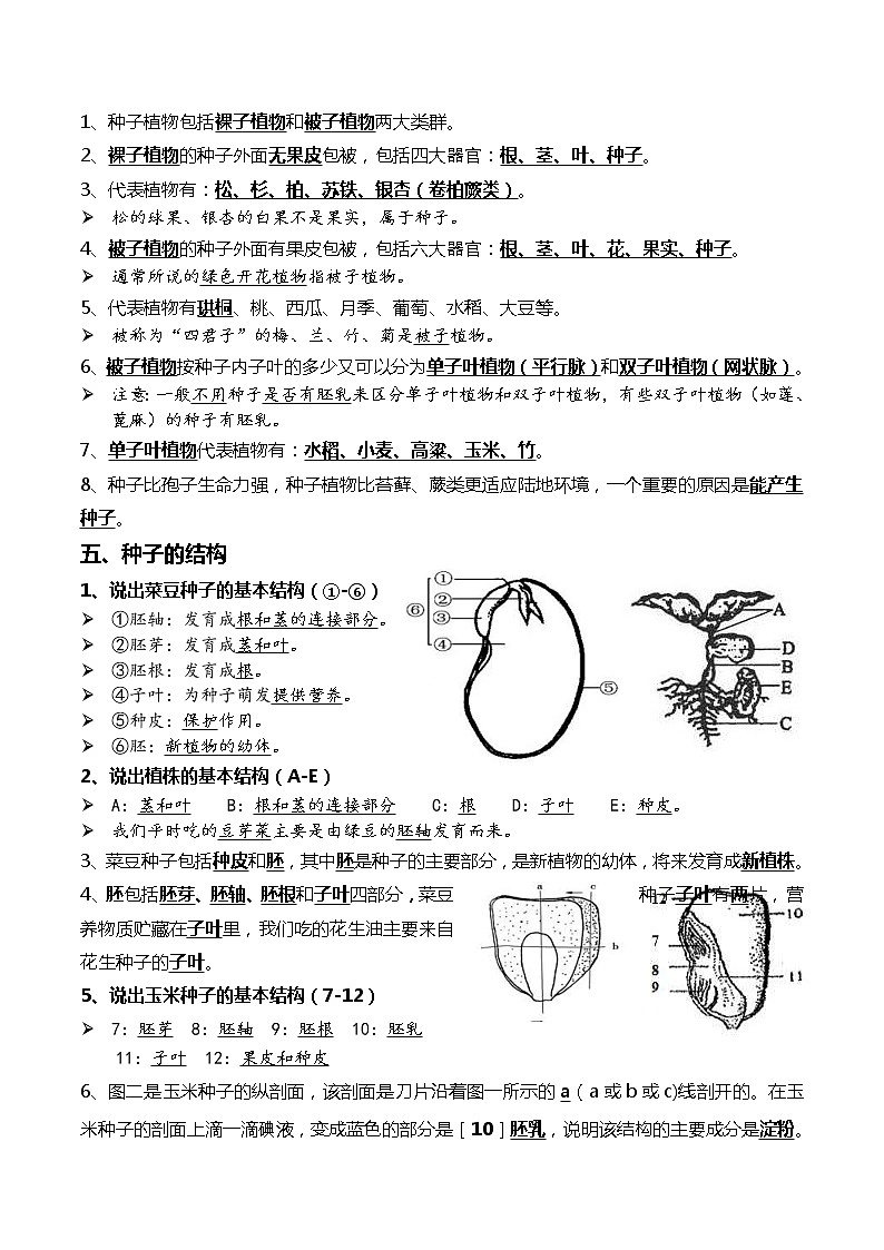 中考生物一轮复习考点必背知识清单04+生物圈中有哪些绿色植物+被子植物的一生02