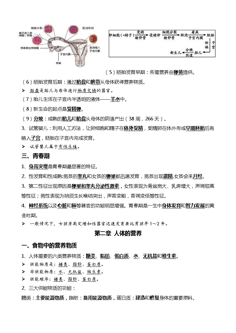 中考生物一轮复习考点必背知识清单06+人的由来+人体的营养02