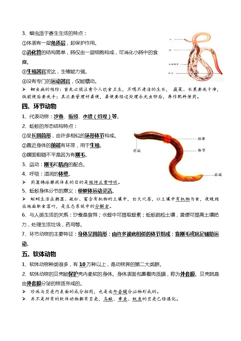 中考生物一轮复习考点必背知识清单09+动物的主要类群+动物的运动和行为第2页