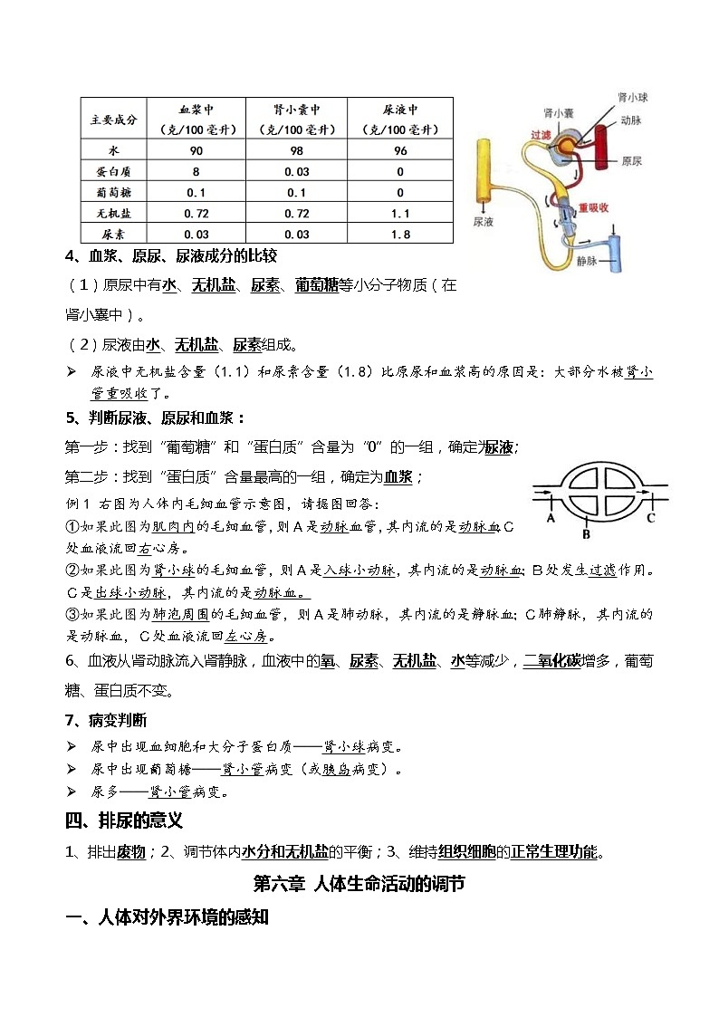 中考生物一轮复习考点必背知识清单08人体内废物的排出+人体生命活动的调节02