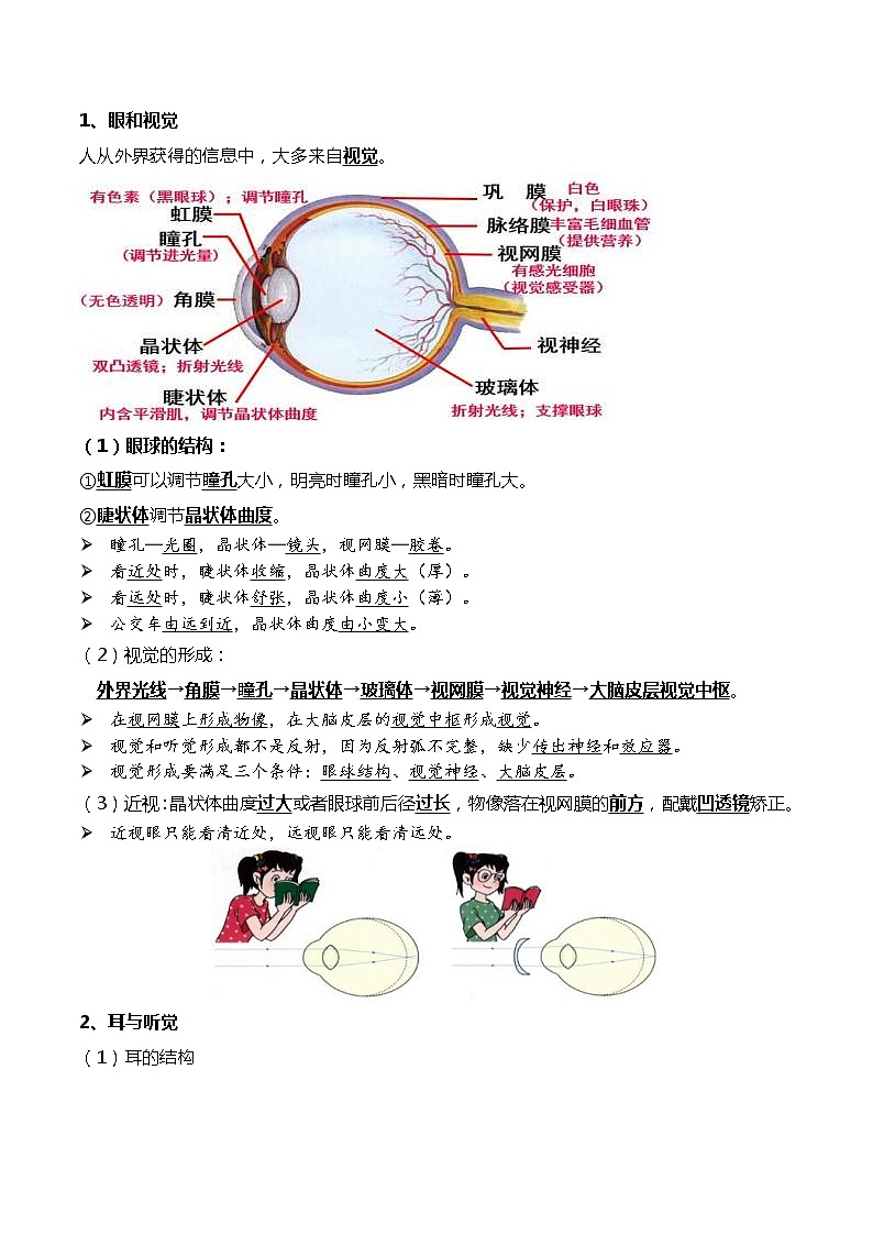 中考生物一轮复习考点必背知识清单08人体内废物的排出+人体生命活动的调节03