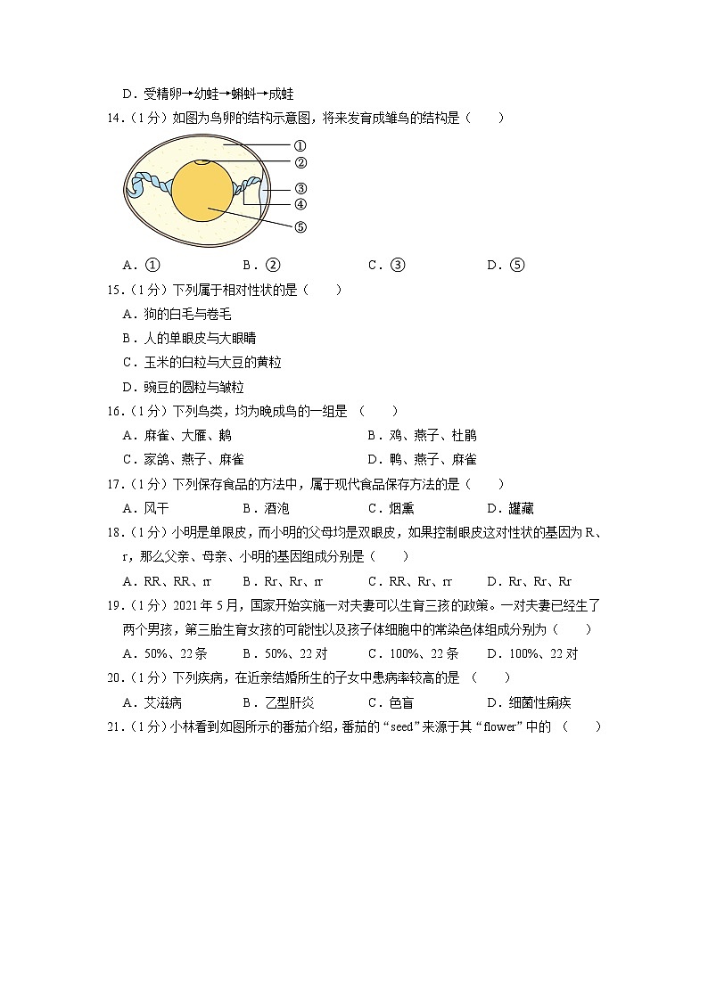 江苏省南京师大附中江宁分校2022-2023学年八年级下学期期中生物试卷+02