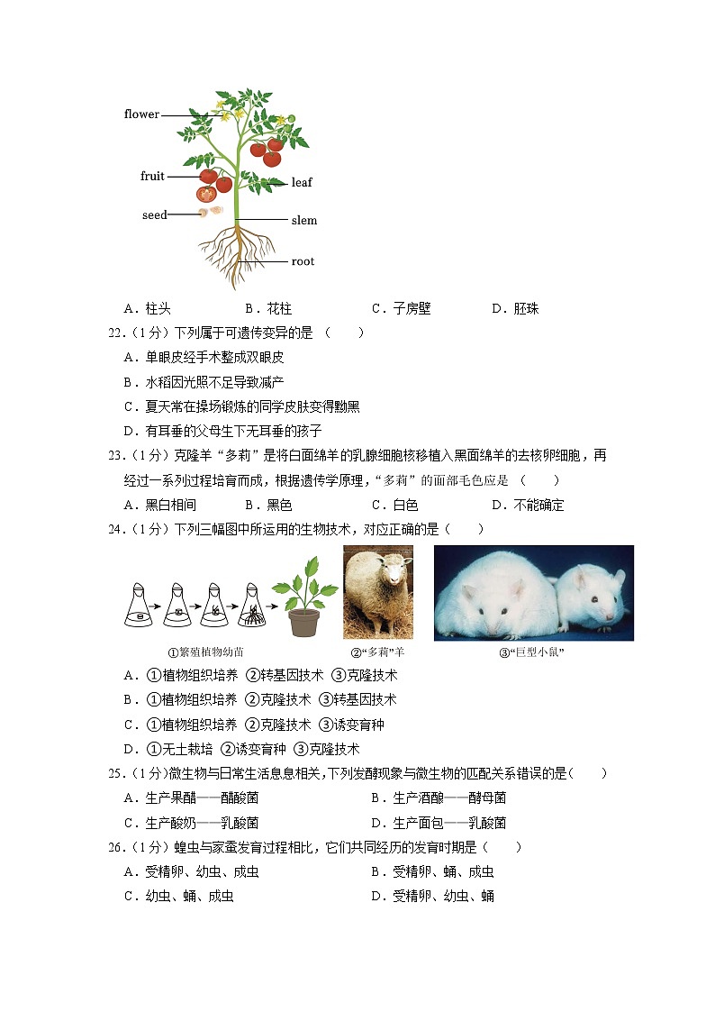 江苏省南京师大附中江宁分校2022-2023学年八年级下学期期中生物试卷+03