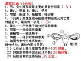 七年级下册人教版生物4.1.2人的生殖 课时2课件PPT