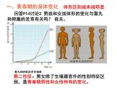 七年级下册人教版生物4.1.3青春期课件PPT