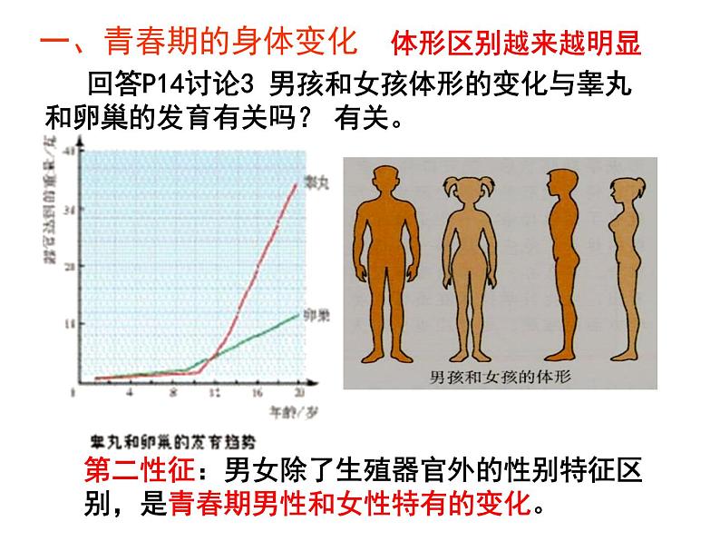 七年级下册人教版生物4.1.3青春期课件PPT第4页