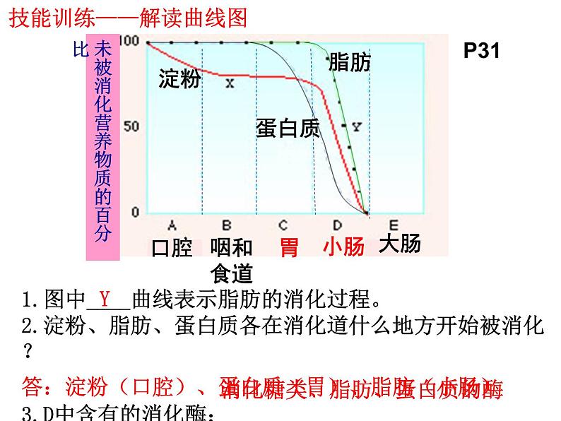 七年级下册人教版生物4.2.2消化和吸收 课时2课件PPT02