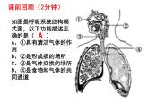 七年级下册人教版生物4.3.2发生在肺内的气体交换 课时1课件PPT