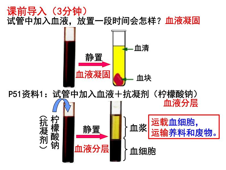 七年级下册人教版生物4.4.1流动的组织—血液课件PPT02