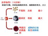 七年级下册人教版生物4.4.1流动的组织—血液课件PPT