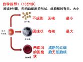 七年级下册人教版生物4.4.1流动的组织—血液课件PPT