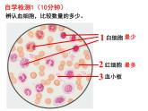 七年级下册人教版生物4.4.1流动的组织—血液课件PPT