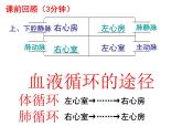 七年级下册人教版生物4.4.3输送血液的泵——心脏课时2课件PPT