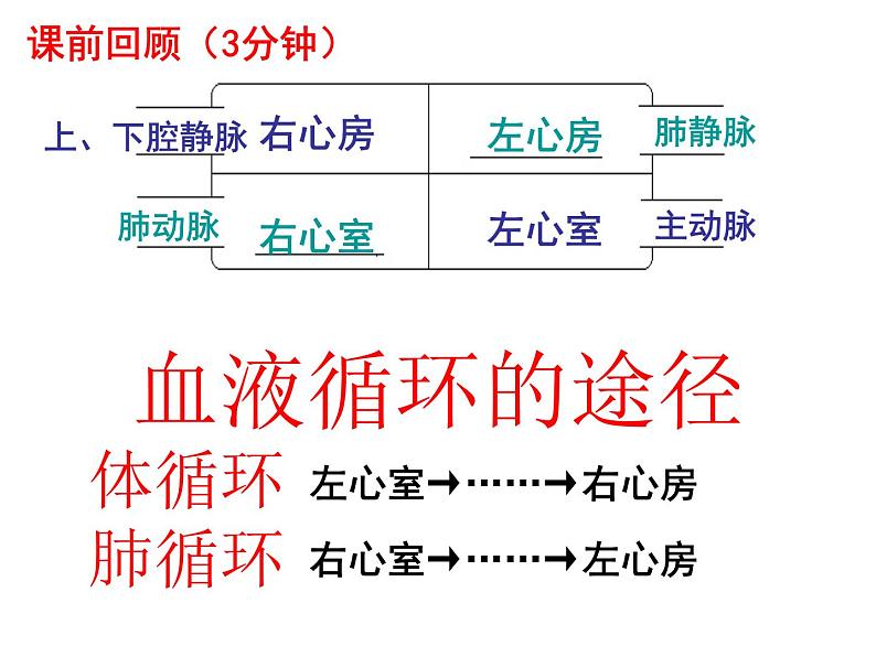 七年级下册人教版生物4.4.3输送血液的泵——心脏课时2课件PPT第1页