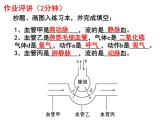 七年级下册人教版生物4.4.4 输血与血型课件PPT