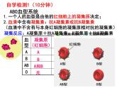 七年级下册人教版生物4.4.4 输血与血型课件PPT