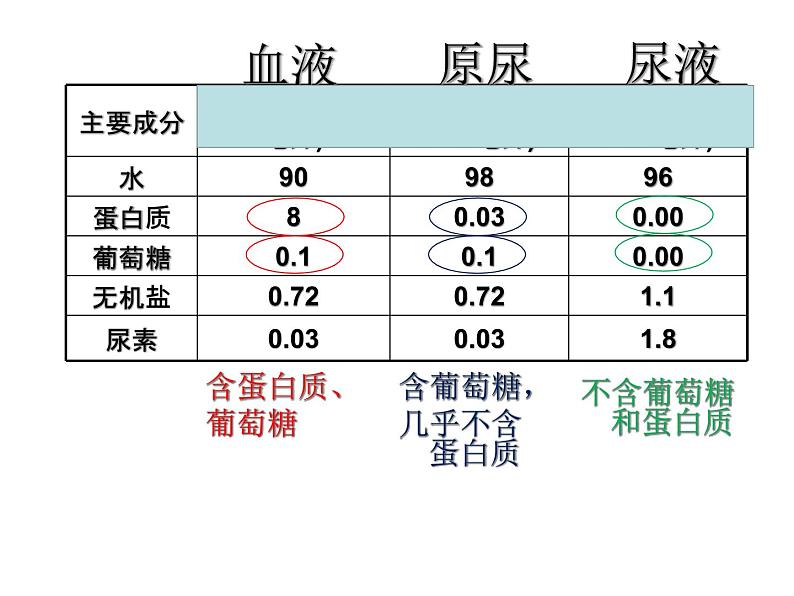 七年级下册人教版生物4.4.5人体内废物的排出 课时2课件PPT第7页