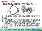 七年级下册人教版生物4.6.2神经系统的组成课件PPT