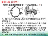 人教版 (新课标)七年级下册第二节 神经系统的组成课堂教学课件ppt