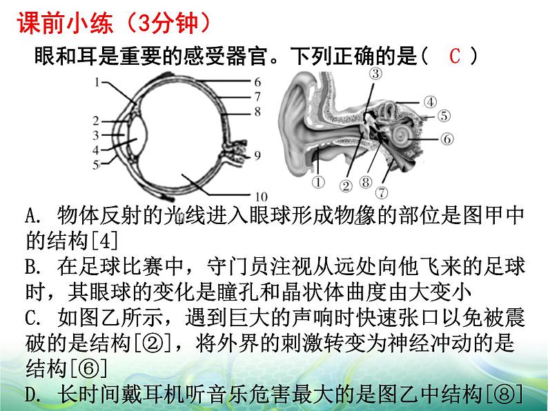 七年级下册人教版生物4.6.2神经系统的组成课件PPT01