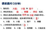 七年级下册人教版生物4.6.3神经调节的基本方式 课时1课件PPT