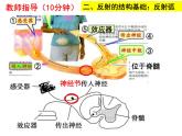 七年级下册人教版生物4.6.3神经调节的基本方式 课时1课件PPT