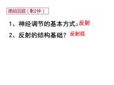 七年级下册人教版生物4.6.3神经调节的基本方式 课时2课件PPT