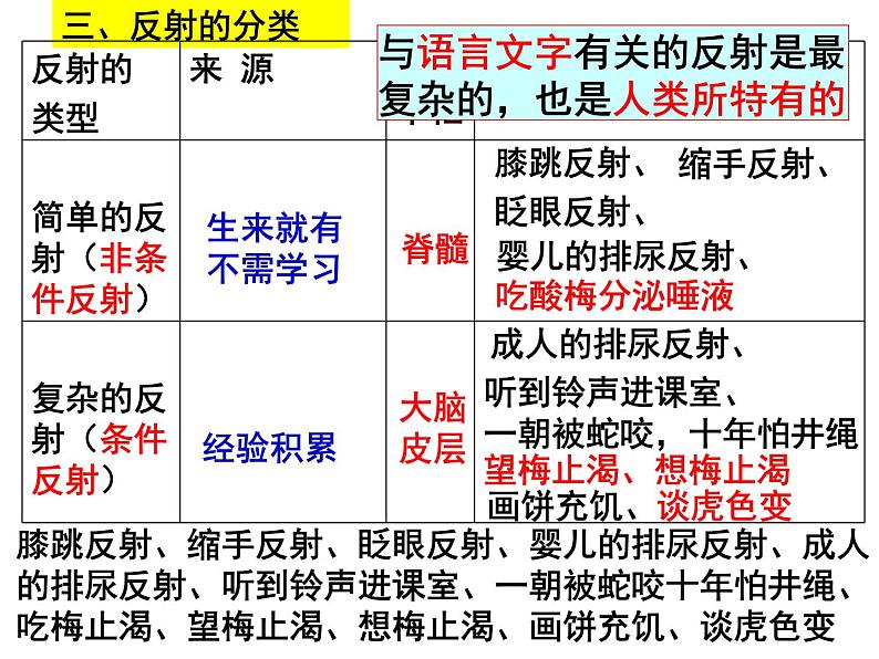 七年级下册人教版生物4.6.3神经调节的基本方式 课时2课件PPT04