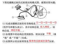 人教版 (新课标)七年级下册第四节 激素调节说课ppt课件