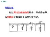 7.1.1植物的生殖课件PPT